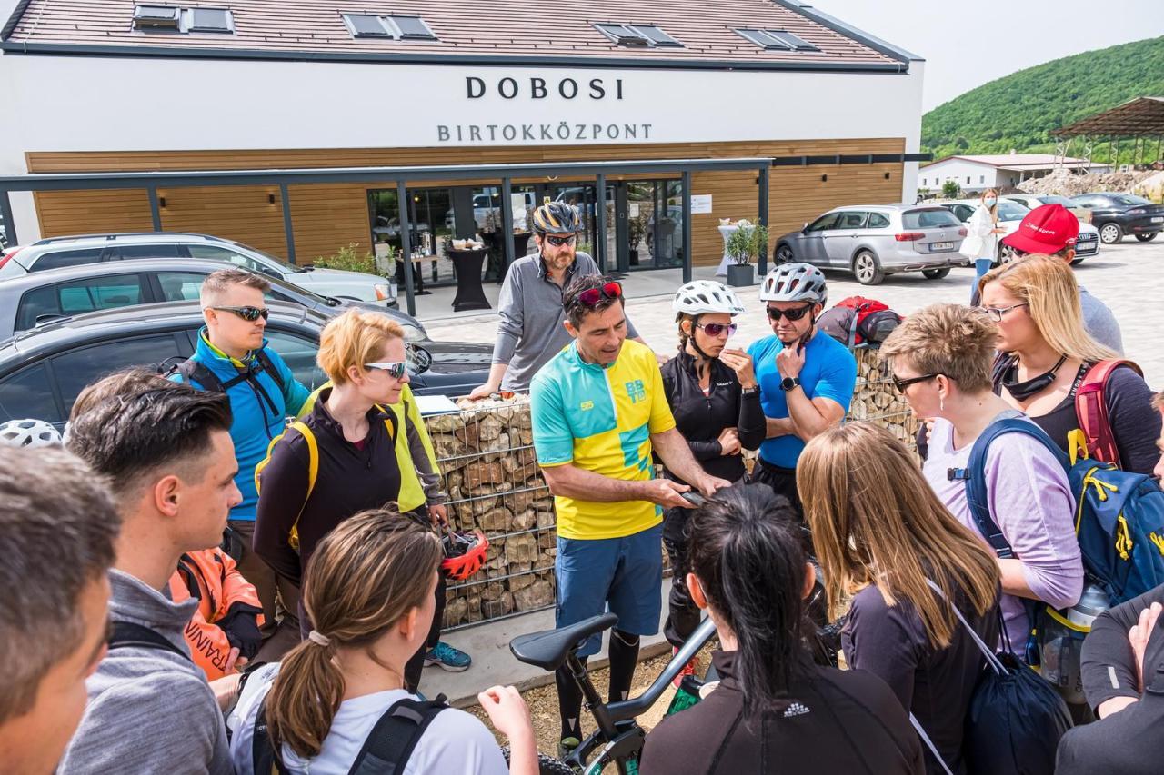 Dobosi Birtokkoezpont Bed and Breakfast Szentantalfa Exteriör bild