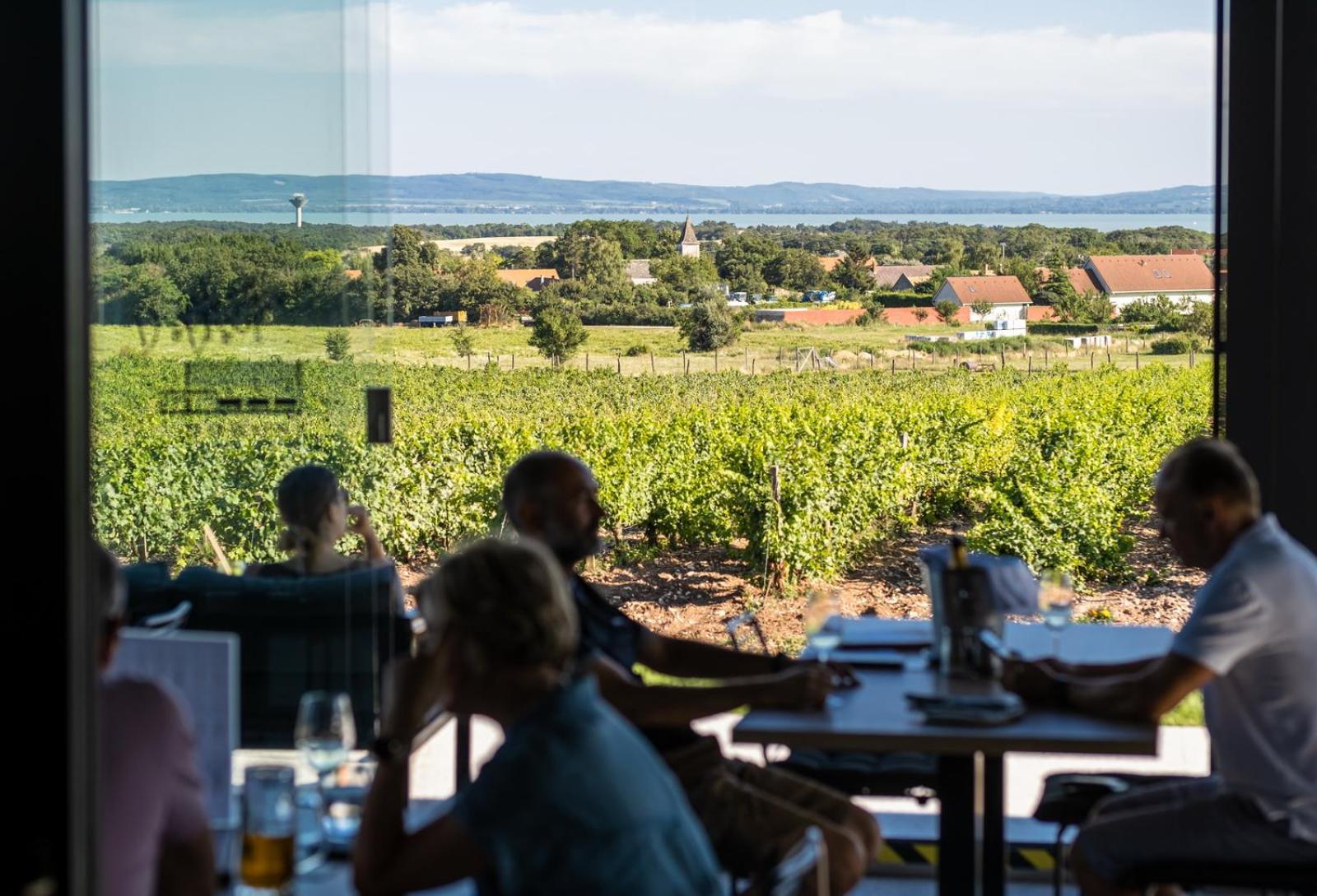 Dobosi Birtokkoezpont Bed and Breakfast Szentantalfa Exteriör bild